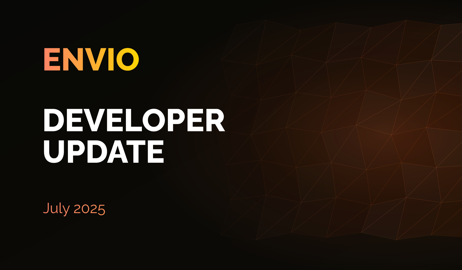 Envio Developer Update July 2025
